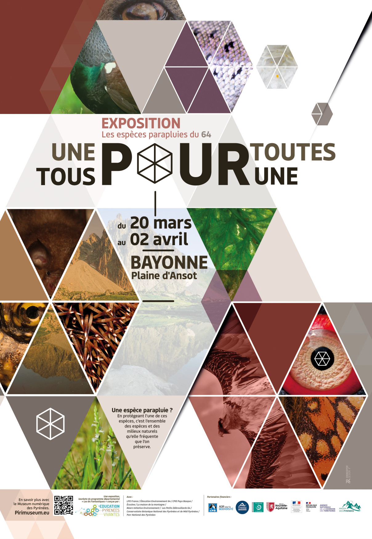 AFFICHE EXPO Parapluie-Bayonne