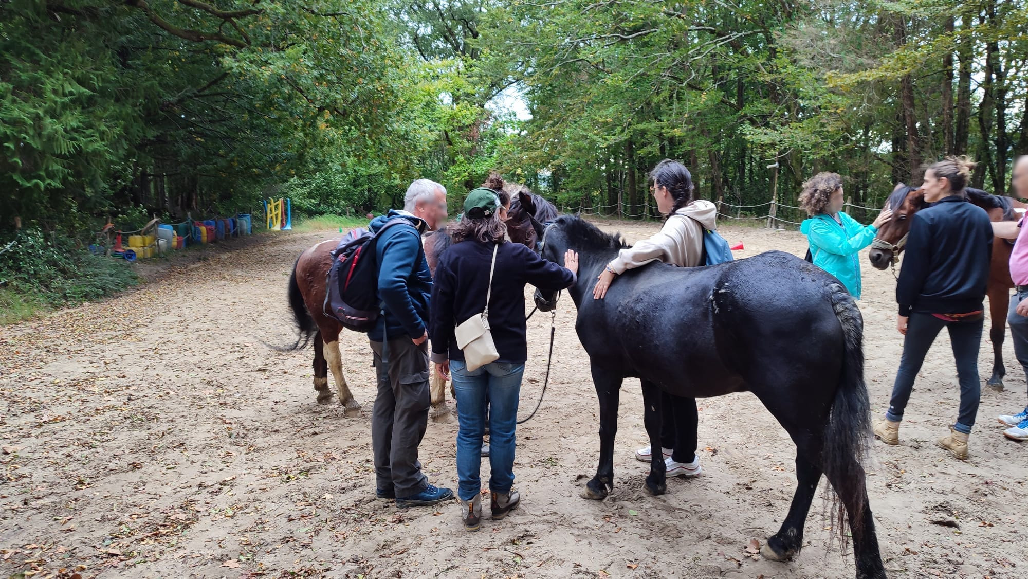 sortie cheval