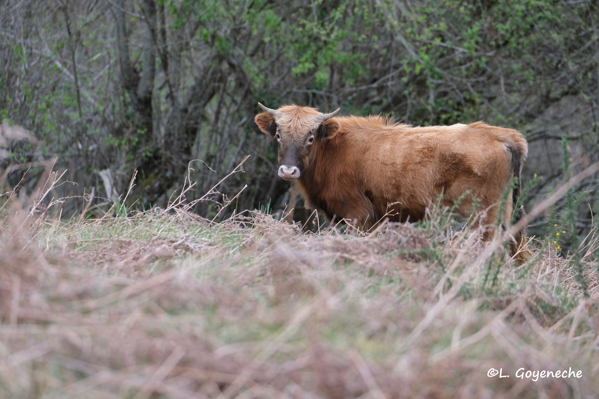 488455636_122185275140061665_7817037307975826336_n